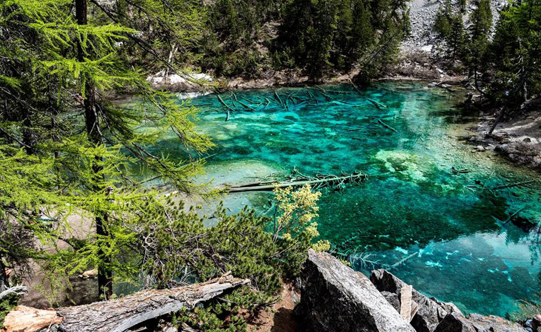 Trasparenze al Lago Verde (Valle Stretta) - 07.06.18 #fotodelgiorno di Enrico Pollone